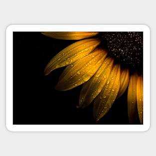 Backyard Flowers 28 Sunflower Sticker